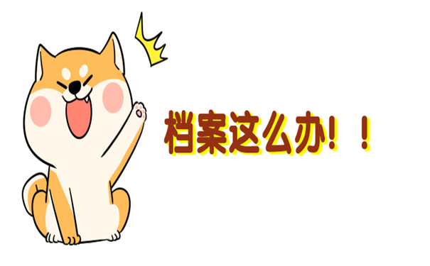 个人档案