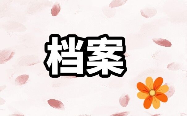 档案