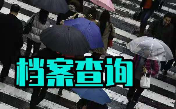 关于档案查询