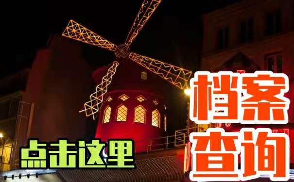 档案的查询