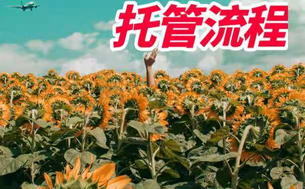 托管流程