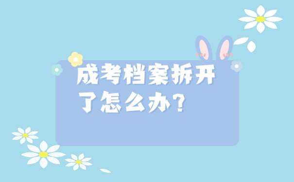 成考档案