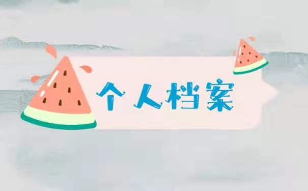 个人档案