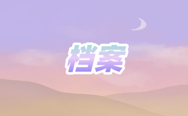 档案