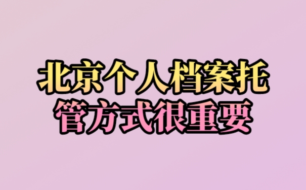 档案