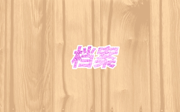 档案