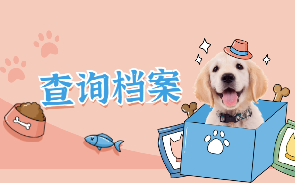 查询档案