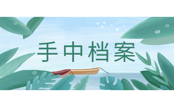 手中档案