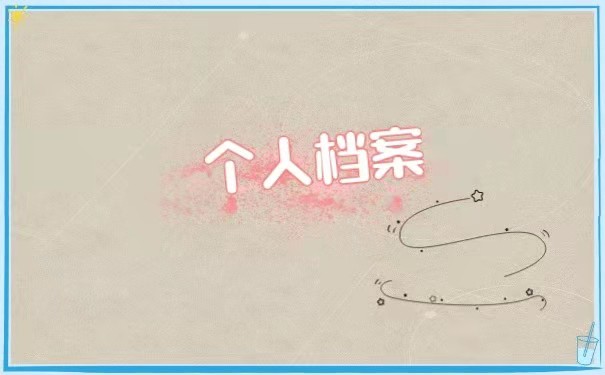 个人档案