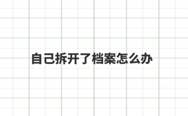 个人档案