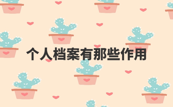 个人档案