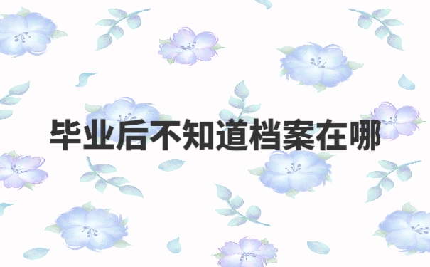 个人档案