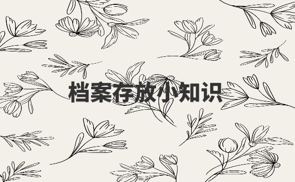 个人档案