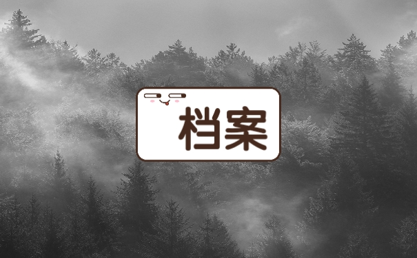 档案