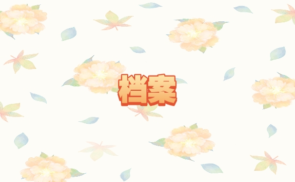 档案
