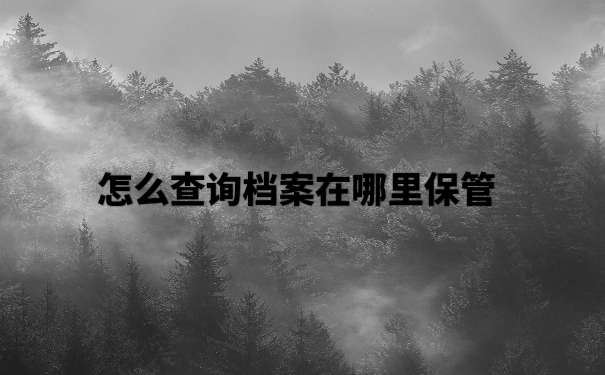 个人档案