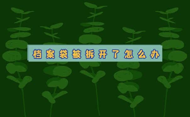 个人档案