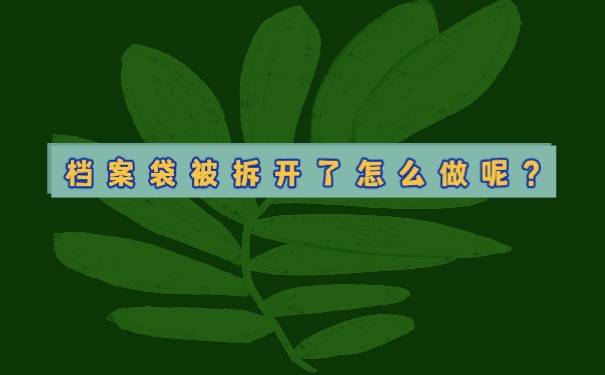 个人档案