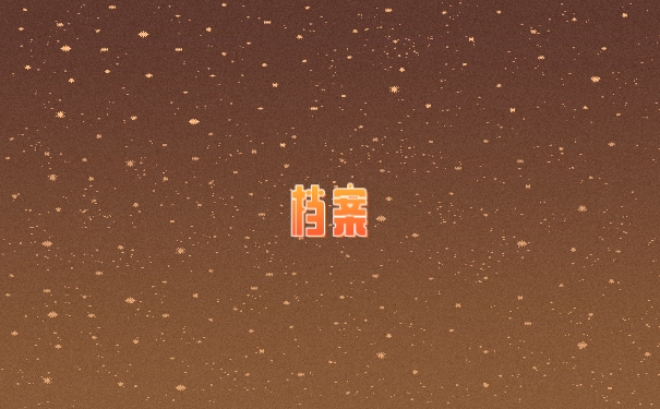档案