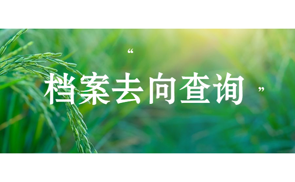 档案去向查询