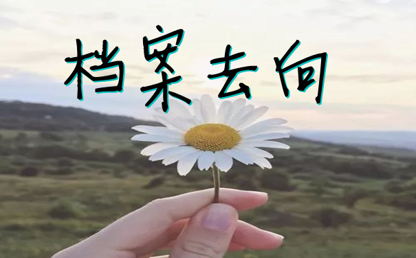 档案去向