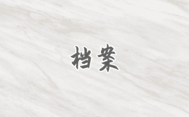 档案