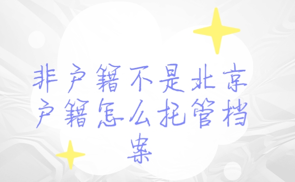 档案