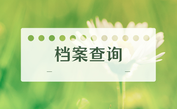 档案查询