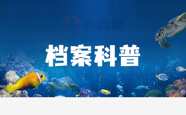 档案科普