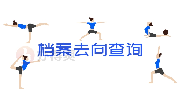 档案查询