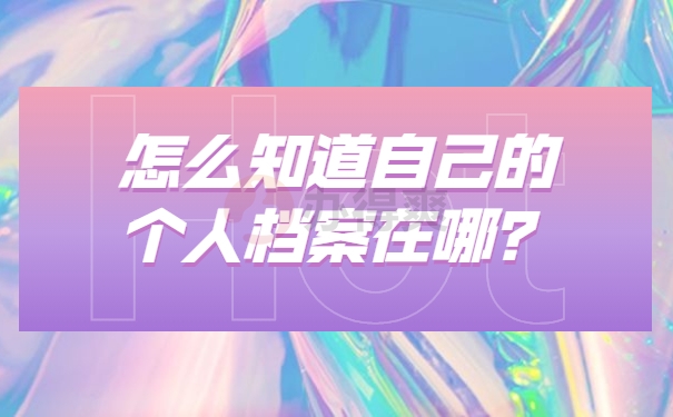 档案查询