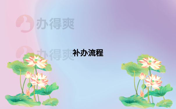 补办流程
