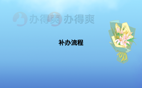补办流程