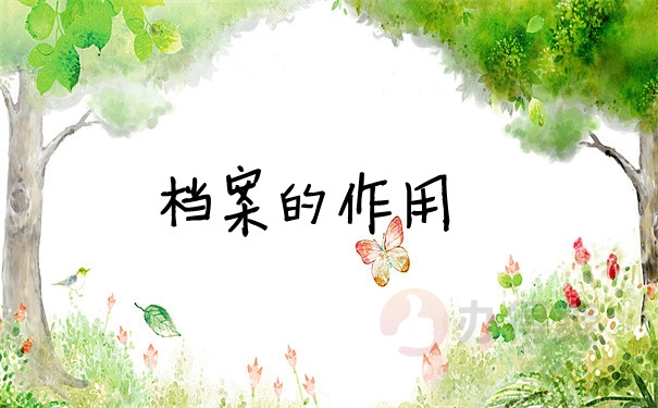 档案问题
