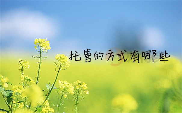 档案问题