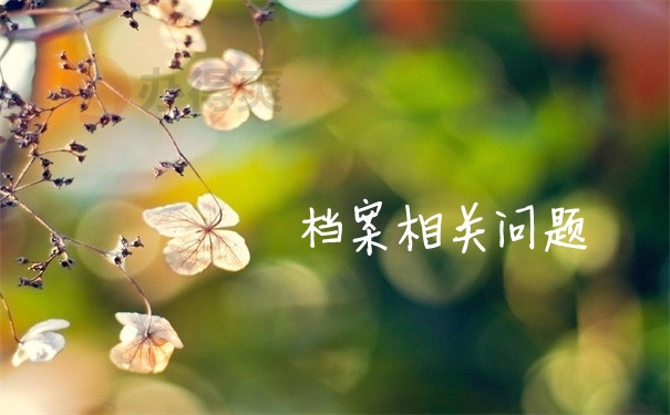 档案问题