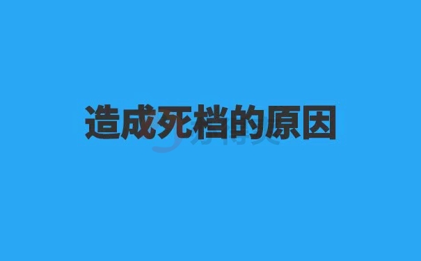 东营市往届生档案查询