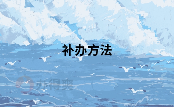 补办方法