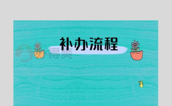 办理流程