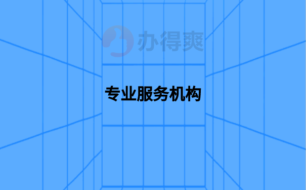 专业服务机构