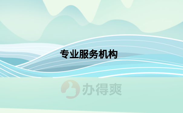 专业服务机构