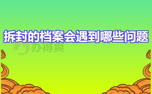 个人档案