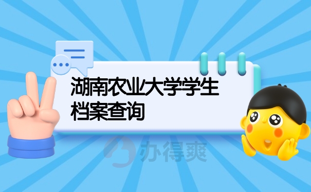 档案查询