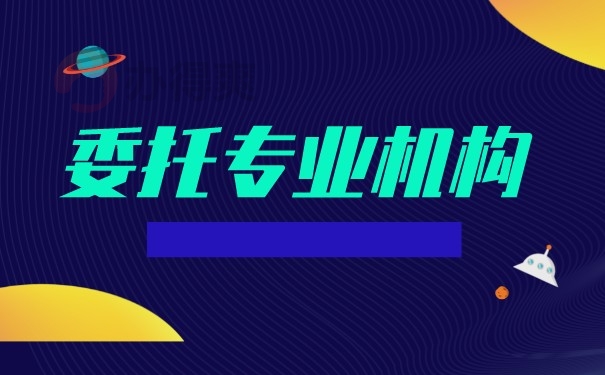 委托专业机构