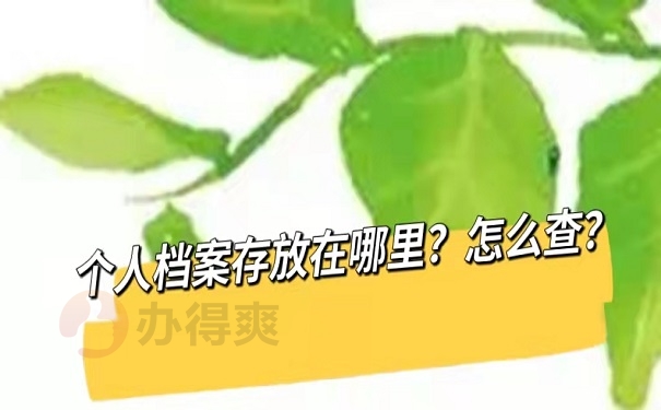 个人档案放在哪里？怎么查？