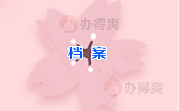 档案