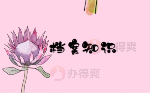 档案