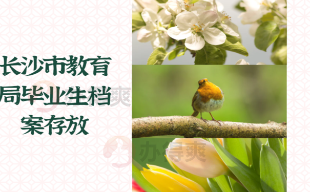 1长沙市教育局毕业生档案存放，