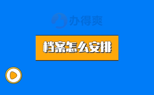 档案安排