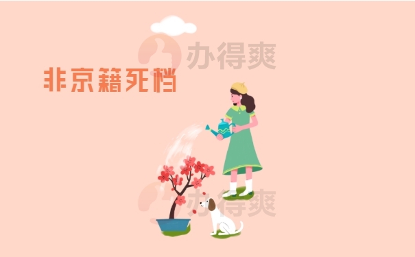 个人档案